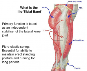 What is the llio-tibial band